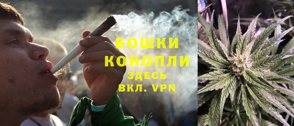 ПСИЛОЦИБИНОВЫЕ ГРИБЫ Медногорск