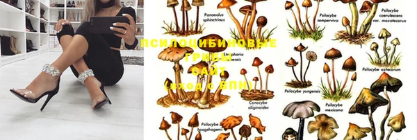 гашишное масло Майский