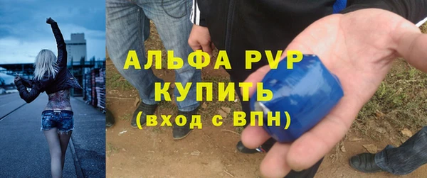 СК Медвежьегорск