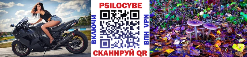Псилоцибиновые грибы Psilocybe  blacksprut зеркало  Мышкин 